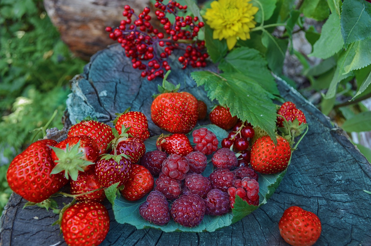 How to Grow Strawberries in a Vertical Garden